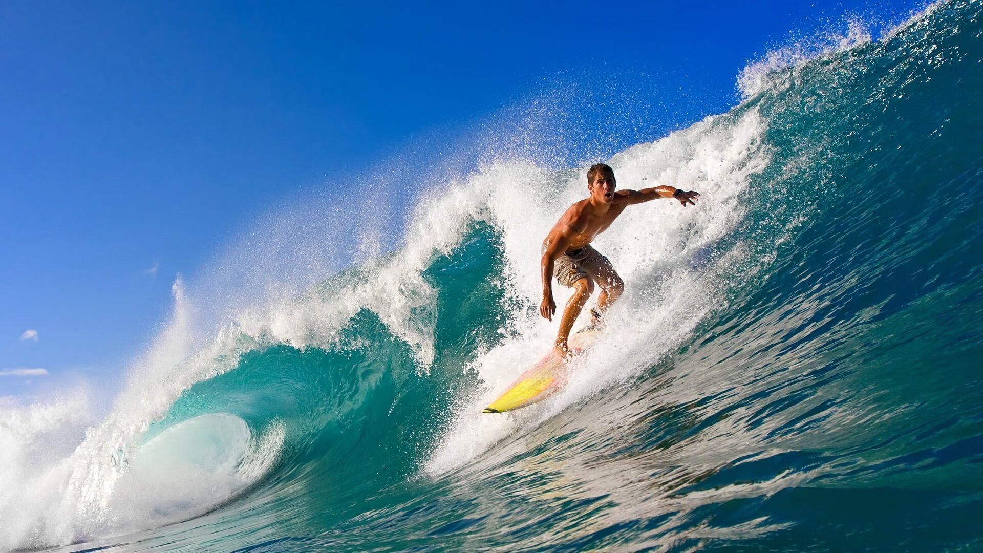  波尔图vs阿卡罗主裁判接电话照片 